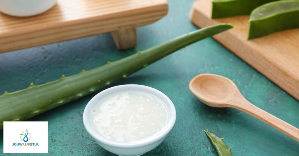 De Voordelen van Aloe Vera Dagcreme Voor de Huid